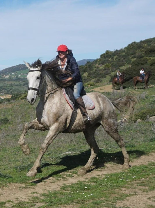 Exploring the Breathtaking Beauty: The Most Scenic Horse Trail Rides in California